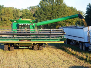 https://www.ajot.com/images/uploads/article/024LR_Soybean_Harvest.jpg