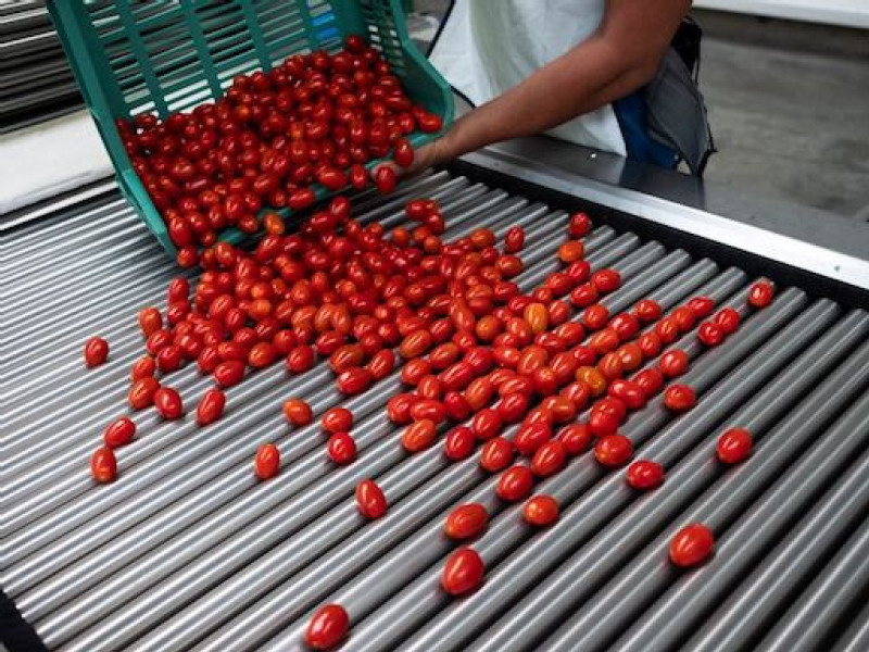 US, Mexico reach deal to suspend tomato dumping probe, tariffs