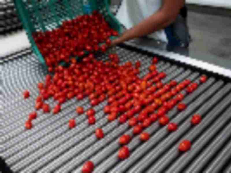 US, Mexico reach deal to suspend tomato dumping probe, tariffs