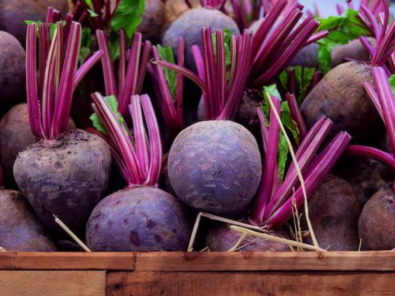 What do you do with 24 tons of beetroot stockpiled for Brexit?