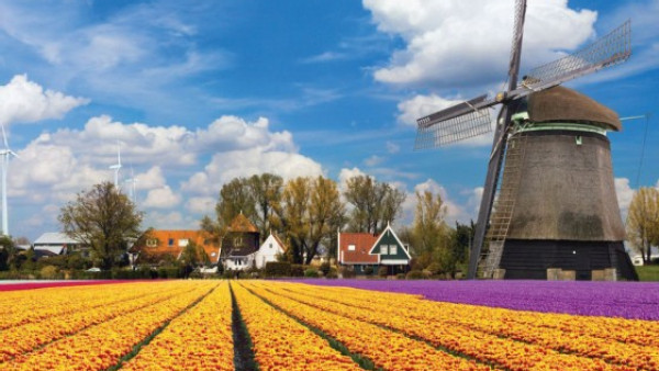 https://www.ajot.com/images/uploads/article/622-blossoming-technology-flowers-dutch.jpg