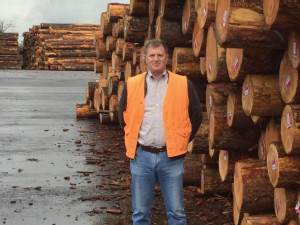 https://www.ajot.com/images/uploads/article/624-tom-leeds-pacific-lumber.jpg