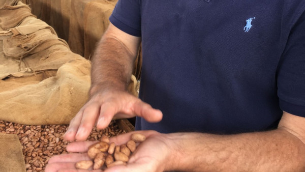 https://www.ajot.com/images/uploads/article/705-handful-cacao.jpg