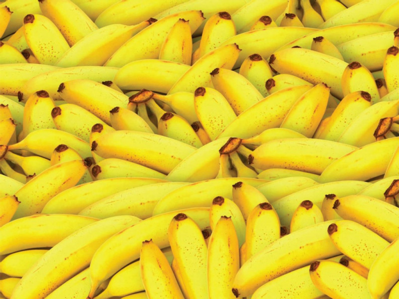 Banana business facing crisis of pandemic proportions