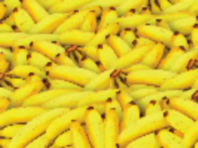 Banana business facing crisis of pandemic proportions