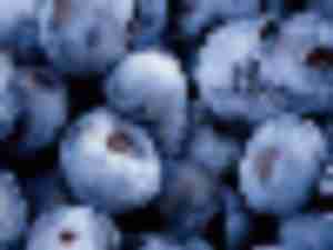 https://www.ajot.com/images/uploads/article/723-blueberries.jpg