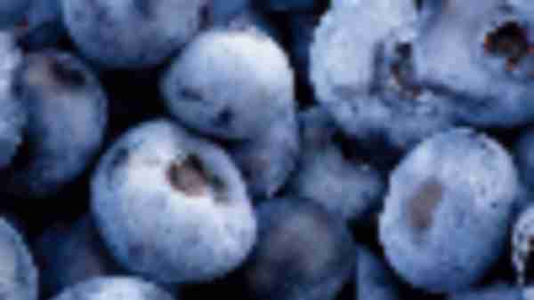 https://www.ajot.com/images/uploads/article/723-blueberries.jpg