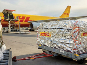 https://www.ajot.com/images/uploads/article/747-dhl-perishable.jpg