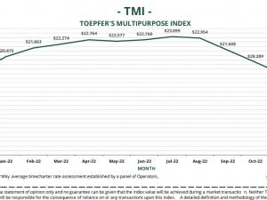 https://www.ajot.com/images/uploads/article/748-topler-index.png