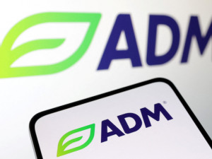 Grains merchant ADM slides on fresh accounting errors, profit forecast cut