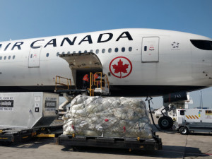 https://www.ajot.com/images/uploads/article/Air_Canada_Cargo.jpg