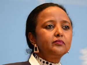 https://www.ajot.com/images/uploads/article/Amina_Mohamed-scaled-e1590592132661-732x419.jpg