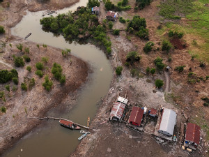 https://www.ajot.com/images/uploads/article/BRAZIL-ENVIRONMENT-AMAZON.JPG