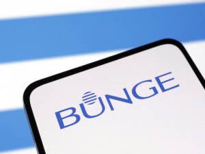 Bunge beats quarterly profit estimates on grain, oilseed volumes; 2024 outlook intact