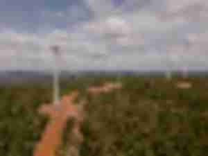 https://www.ajot.com/images/uploads/article/Brazil_wind_farm.jpg