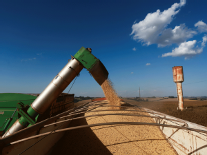 Brazilian soy shipments to China from 5 firms suspended on phytosanitary grounds, sources say