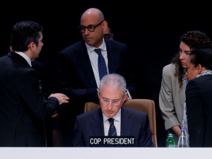 https://www.ajot.com/images/uploads/article/CLIMATE-COP29.JPG