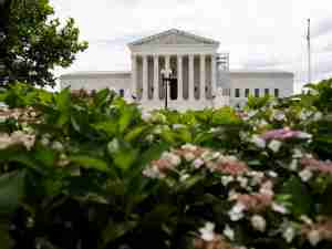 US Supreme Court hears case of trucker fired for failed drug test from cannabis-based CBD