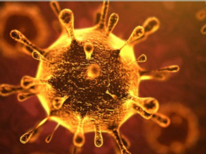 https://www.ajot.com/images/uploads/article/Coronavirus.jpg