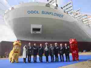 OOCL names its third 16,828 TEU container vessel, OOCL Sunflower 