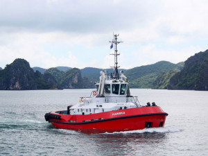 https://www.ajot.com/images/uploads/article/Damen-ATD-Tug-2412-Kaweka.jpg