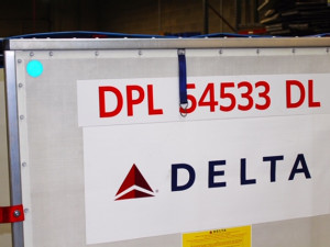 https://www.ajot.com/images/uploads/article/Delta_Cargo_ULD.jpg