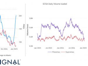 Dry Weekly Market Monitor - Week 04.2025