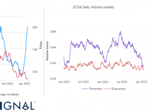 Dry Weekly Market Monitor - Week 04.2025