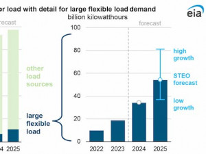 Data centers and cryptocurrency mining in Texas drive strong power demand growth