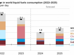 India to surpass China as the top source of global oil consumption growth in 2024 and 2025