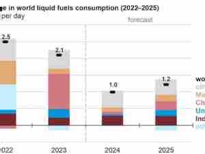 India to surpass China as the top source of global oil consumption growth in 2024 and 2025