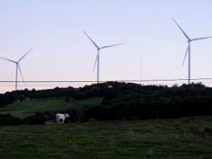 Spain’s electricity demand edges up as renewables break records