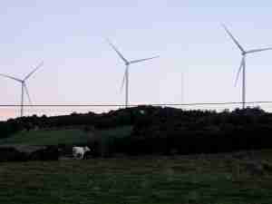 Spain’s electricity demand edges up as renewables break records