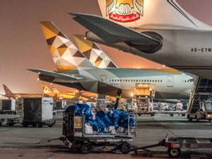 https://www.ajot.com/images/uploads/article/Etihad-Bellyhold-Cargo.jpg