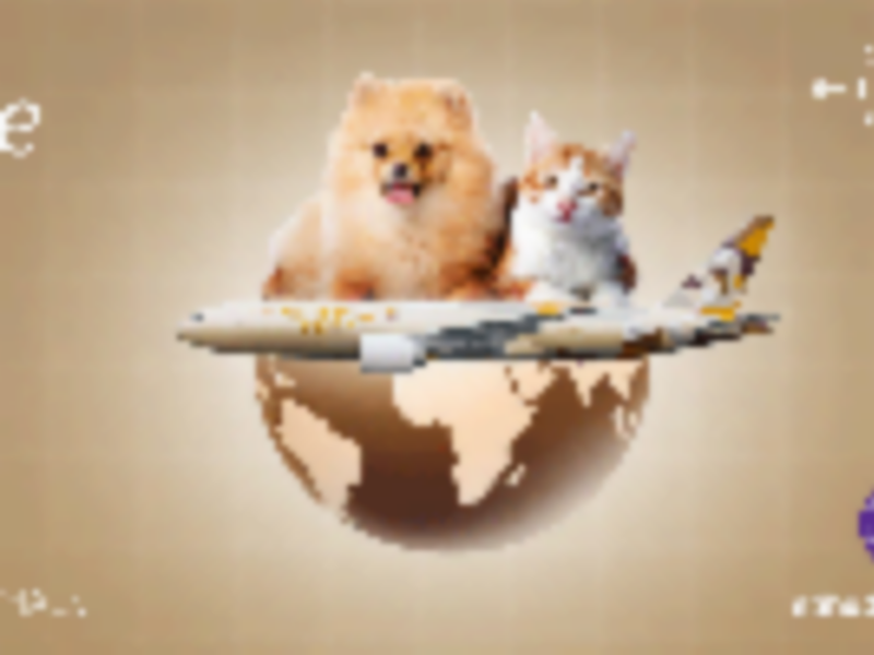 Etihad Cargo introduces extended journey times for pets and support for snub-nosed breeds