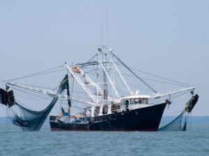 https://www.ajot.com/images/uploads/article/Fishing-vessel_BT-VMS.jpg