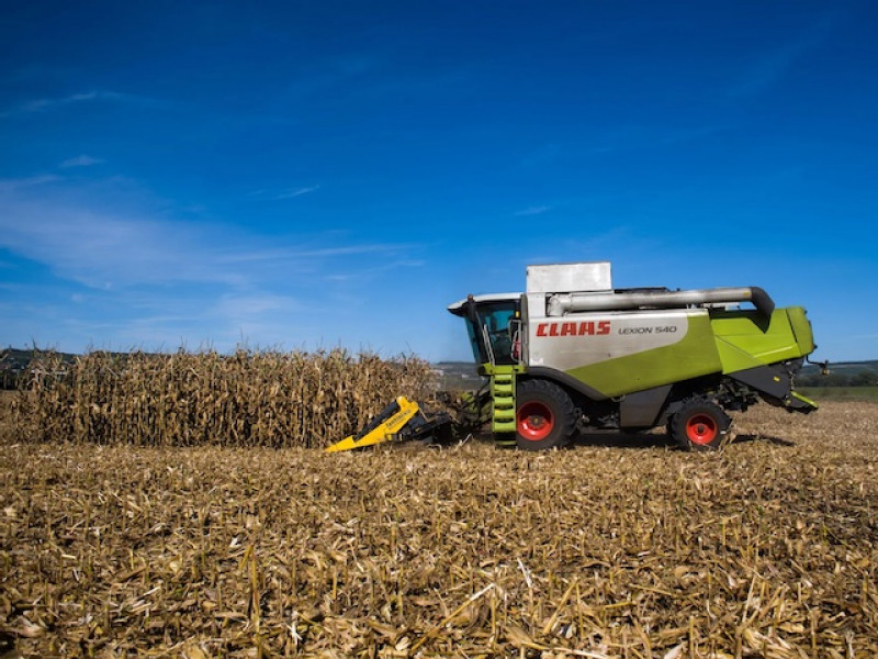 French wheat heads to New York as US flour mills keep importing