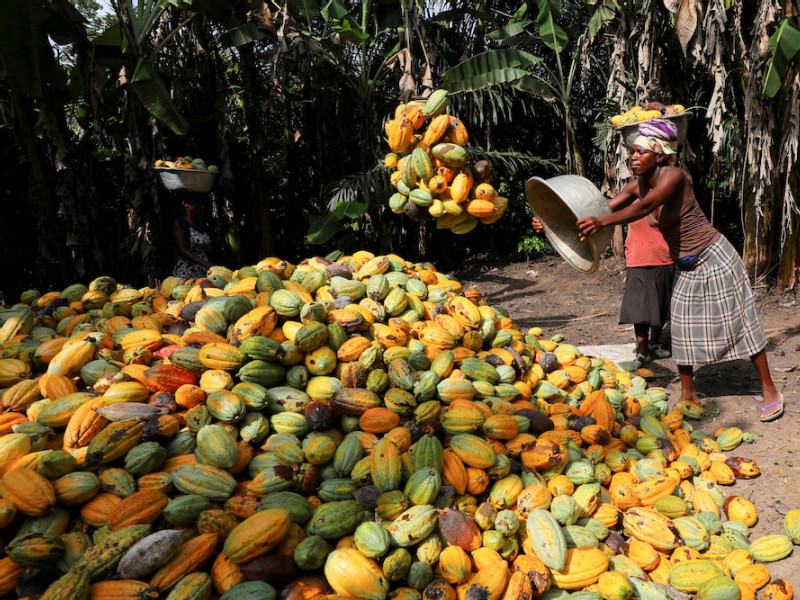 Cocoa tops global commodities rally for 2nd year, steel ingredients struggle on China demand