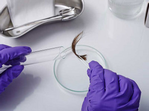 https://www.ajot.com/images/uploads/article/Hair-Follicle-Drug-Test.jpg