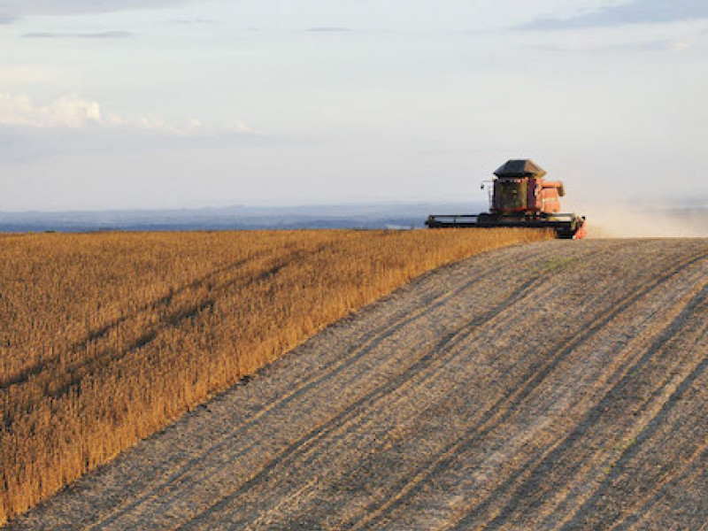 Soy boom state finds itself in eye of trade storm