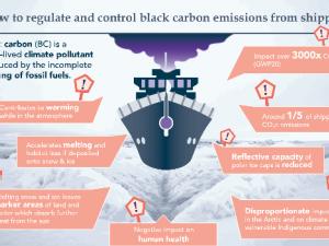 Shipping Nations must switch to cleaner fuels to cut black carbon pollution