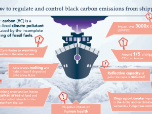 Shipping Nations must switch to cleaner fuels to cut black carbon pollution