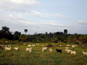 Brazilian meatpacker JBS says net-zero emissions pledge was ‘never a promise’