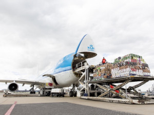 https://www.ajot.com/images/uploads/article/KL747F_offloading_at_AMS.jpg