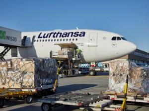 https://www.ajot.com/images/uploads/article/Lufthansa-A330_Loading.jpg