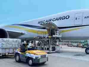 MSC Air, a new name in Hactl’s customer portfolio