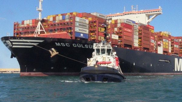 https://www.ajot.com/images/uploads/article/MSC-Gulsun-valencia.jpg