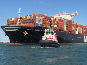 https://www.ajot.com/images/uploads/article/MSC-Gulsun-valencia.jpg