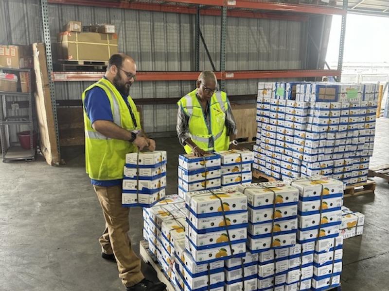 American Airlines Cargo moves record-breaking volumes of mangoes this summer