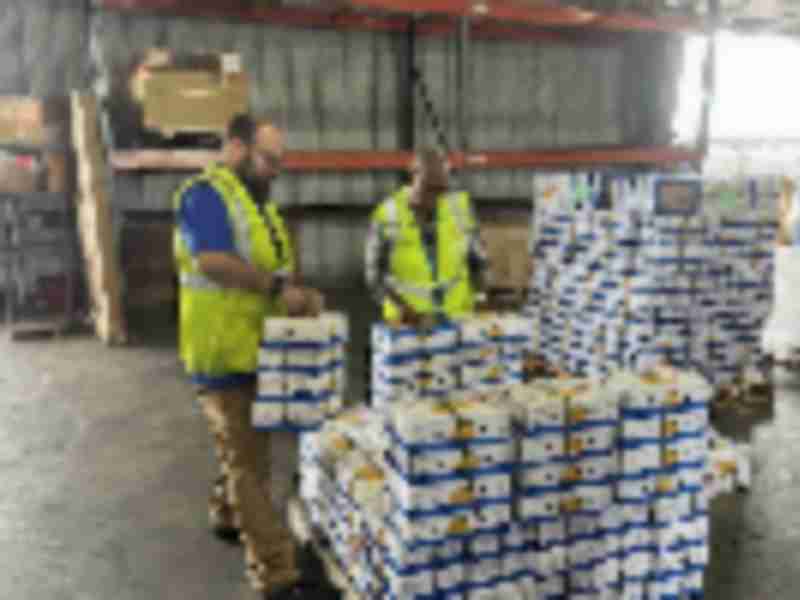 American Airlines Cargo moves record-breaking volumes of mangoes this summer